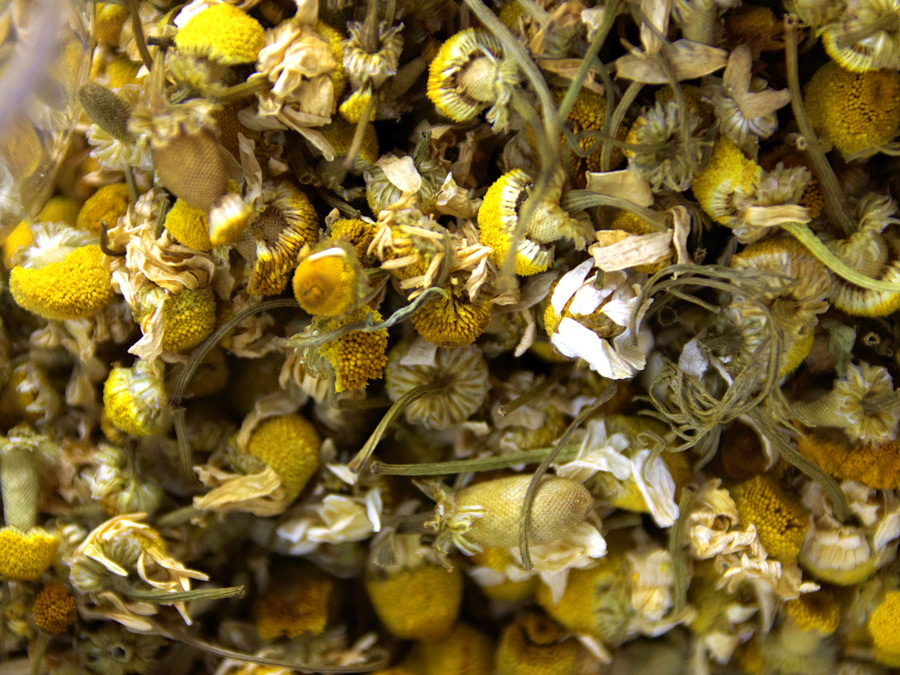 dried chomomile flowers